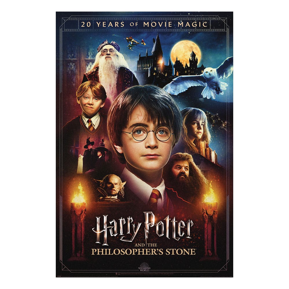 Harry Potter Poster Set – 20 Years of Movie Magic (4 Poster, 61 × 91 cm)